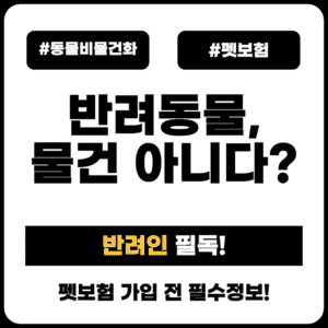 동물 비물건화, 펫보험·펫산업에 미치는 영향 총정리
